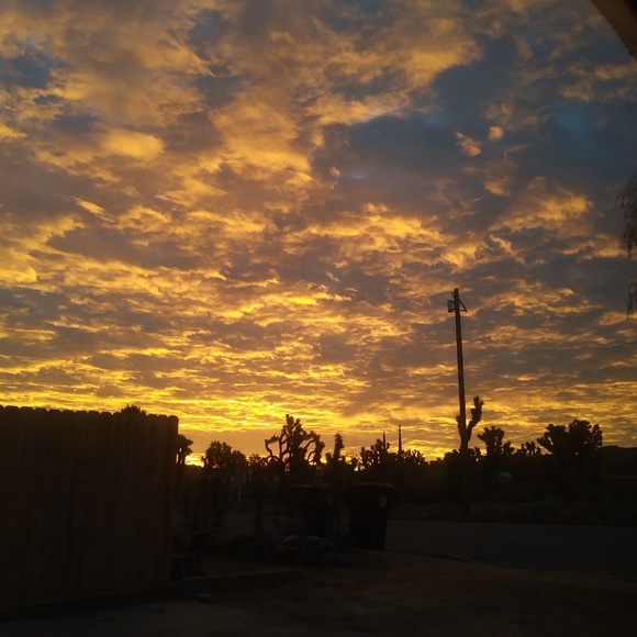 About Me 🌴🌵🌞✌🙏💜 - Picture 8 of 8